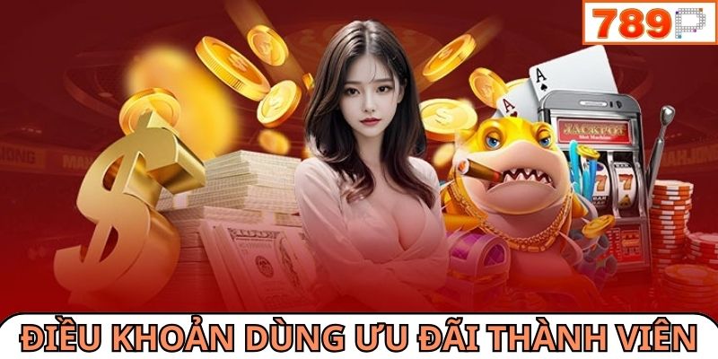 Điều khoản dùng quà tặng và ưu đãi thành viên